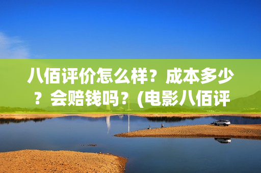 八佰评价怎么样？成本多少？会赔钱吗？(电影八佰评价如何)