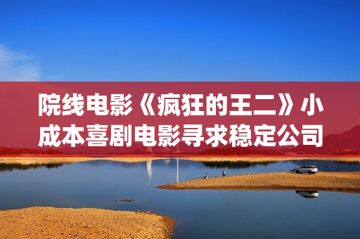院线电影《疯狂的王二》小成本喜剧电影寻求稳定公司长期合作(电影:疯狂)