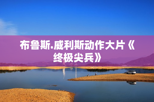 布鲁斯.威利斯动作大片《终极尖兵》