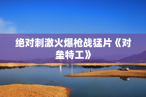 绝对刺激火爆枪战猛片《对垒特工》