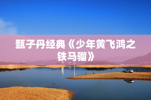 甄子丹经典《少年黄飞鸿之铁马骝》