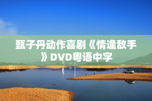 甄子丹动作喜剧《情逢敌手》DVD粤语中字
