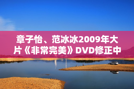 章子怡、范冰冰2009年大片《非常完美》DVD修正中字
