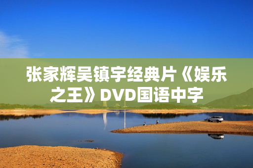 张家辉吴镇宇经典片《娱乐之王》DVD国语中字