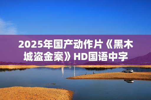 2025年国产动作片《黑木城盗金案》HD国语中字