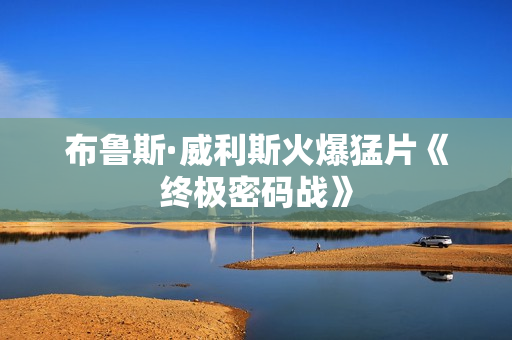 布鲁斯·威利斯火爆猛片《终极密码战》