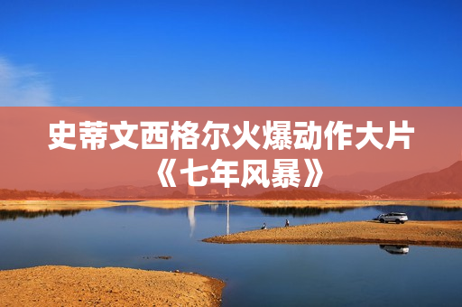 史蒂文西格尔火爆动作大片《七年风暴》