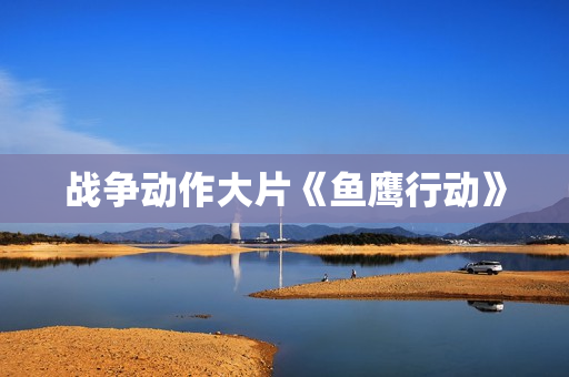战争动作大片《鱼鹰行动》