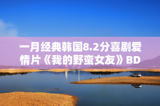 一月经典韩国8.2分喜剧爱情片《我的野蛮女友》BD双语中字