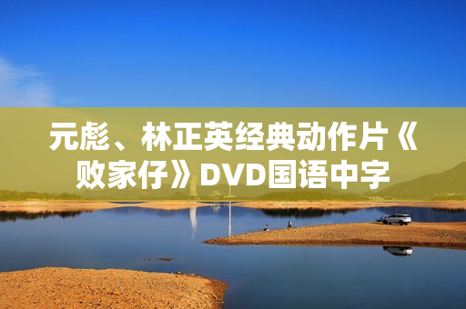 元彪、林正英经典动作片《败家仔》DVD国语中字