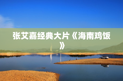 张艾嘉经典大片《海南鸡饭》