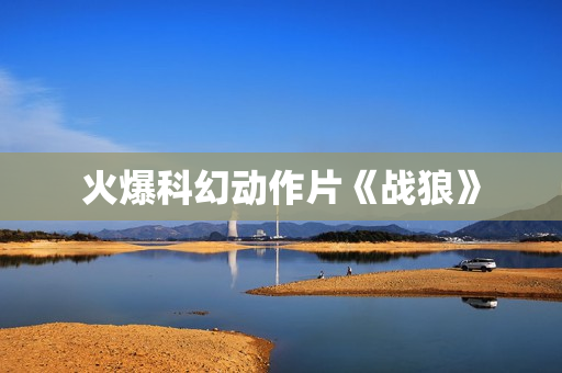 火爆科幻动作片《战狼》