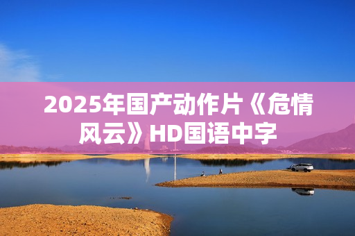 2025年国产动作片《危情风云》HD国语中字