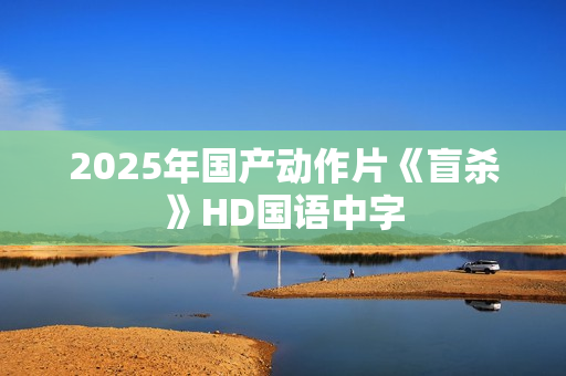 2025年国产动作片《盲杀》HD国语中字