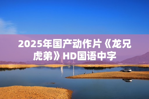2025年国产动作片《龙兄虎弟》HD国语中字