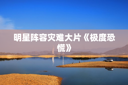 明星阵容灾难大片《极度恐慌》
