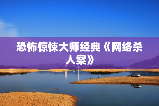 恐怖惊悚大师经典《网络杀人案》