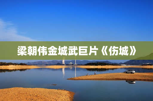 梁朝伟金城武巨片《伤城》