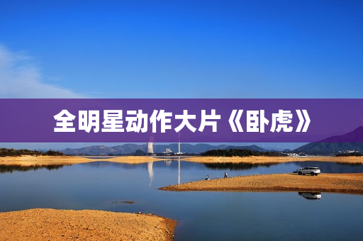 全明星动作大片《卧虎》