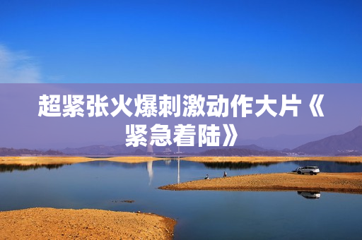 超紧张火爆刺激动作大片《紧急着陆》