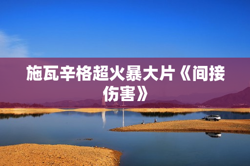 施瓦辛格超火暴大片《间接伤害》