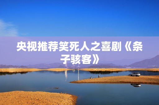 央视推荐笑死人之喜剧《条子骇客》