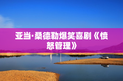 亚当·桑德勒爆笑喜剧《愤怒管理》