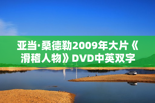 亚当·桑德勒2009年大片《滑稽人物》DVD中英双字