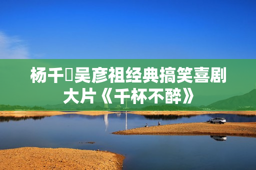 杨千嬅吴彦祖经典搞笑喜剧大片《千杯不醉》