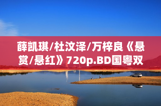 薛凯琪/杜汶泽/万梓良《悬赏/悬红》720p.BD国粤双语中字