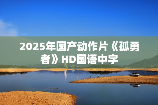 2025年国产动作片《孤勇者》HD国语中字