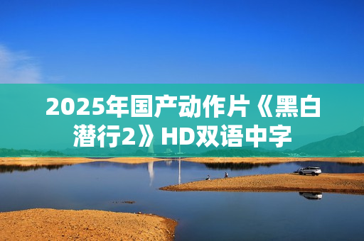 2025年国产动作片《黑白潜行2》HD双语中字