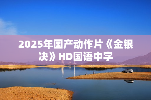 2025年国产动作片《金银决》HD国语中字