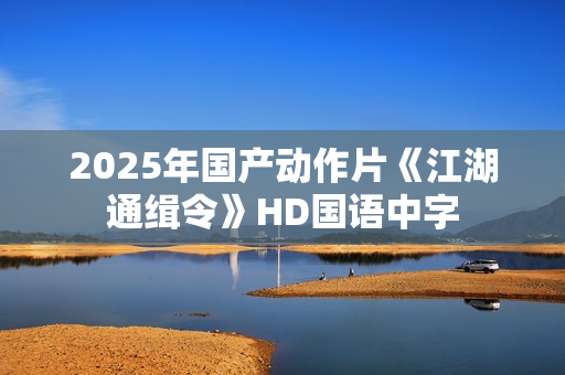 2025年国产动作片《江湖通缉令》HD国语中字