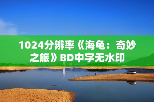 1024分辨率《海龟：奇妙之旅》BD中字无水印