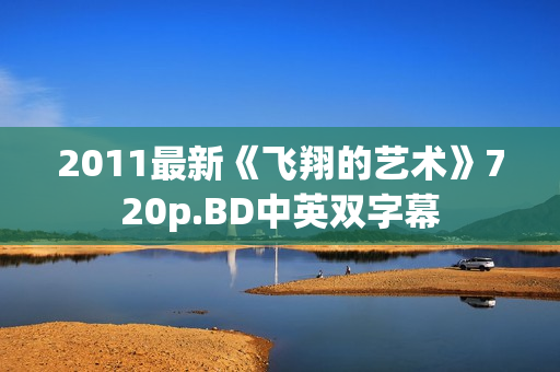 2011最新《飞翔的艺术》720p.BD中英双字幕