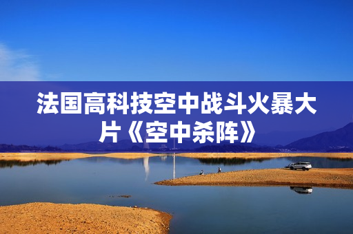 法国高科技空中战斗火暴大片《空中杀阵》