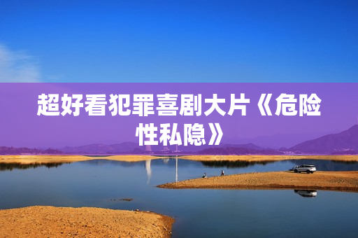 超好看犯罪喜剧大片《危险性私隐》