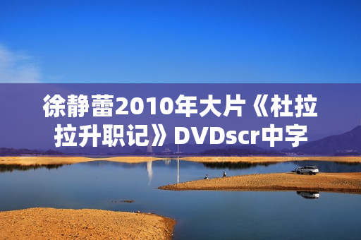 徐静蕾2010年大片《杜拉拉升职记》DVDscr中字