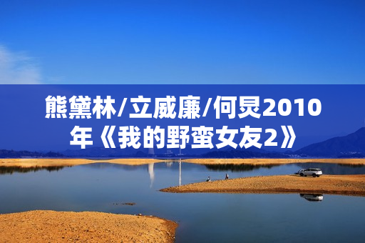 熊黛林/立威廉/何炅2010年《我的野蛮女友2》