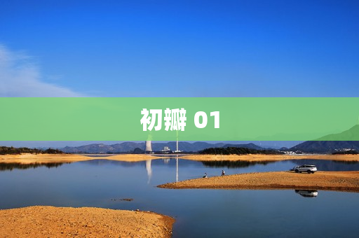 初瓣 01
