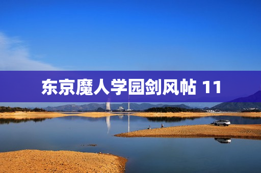 东京魔人学园剑风帖 11