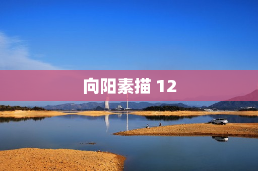 向阳素描 12