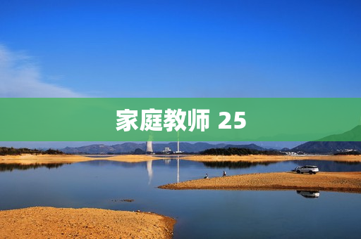 家庭教师 25