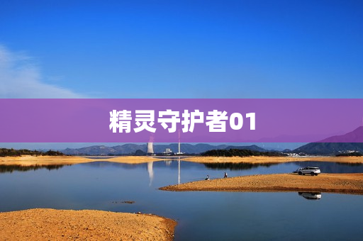 精灵守护者01