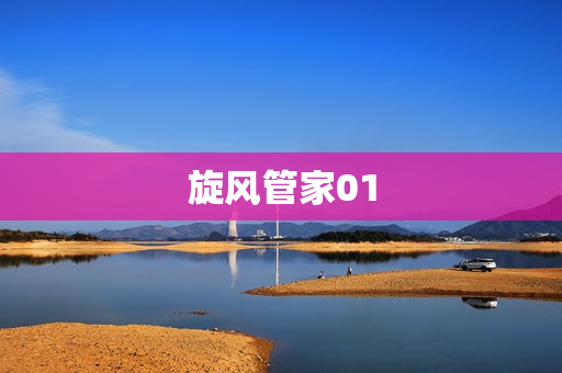 旋风管家01