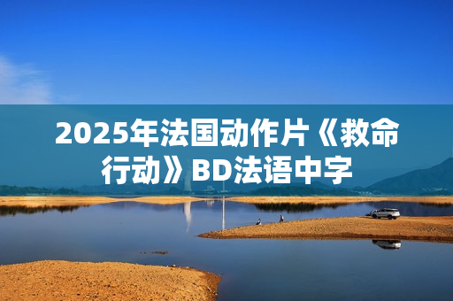 2025年法国动作片《救命行动》BD法语中字