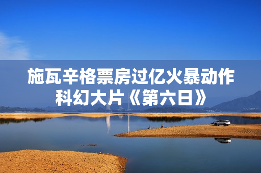 施瓦辛格票房过亿火暴动作科幻大片《第六日》