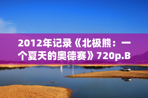 2012年记录《北极熊：一个夏天的奥德赛》720p.BD中字