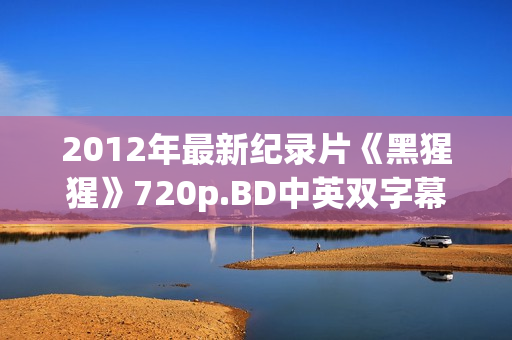 2012年最新纪录片《黑猩猩》720p.BD中英双字幕